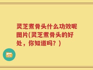 灵芝煮骨头什么功效呢图片(灵芝煮骨头的好处，你知道吗？)