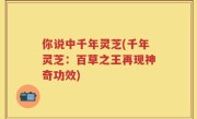 你说中千年灵芝(千年灵芝：百草之王再现神奇功效)