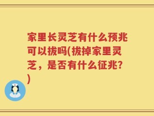 家里长灵芝有什么预兆可以拔吗(拔掉家里灵芝，是否有什么征兆？)