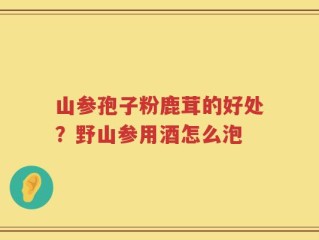 山参孢子粉鹿茸的好处？野山参用酒怎么泡