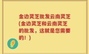 金边灵芝批发云南灵芝(金边灵芝和云南灵芝的批发，这就是您需要的！)