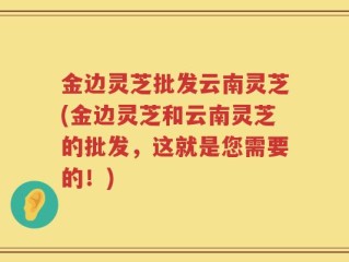 金边灵芝批发云南灵芝(金边灵芝和云南灵芝的批发，这就是您需要的！)