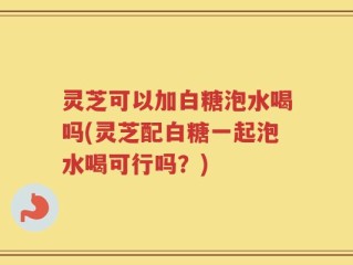灵芝可以加白糖泡水喝吗(灵芝配白糖一起泡水喝可行吗？)