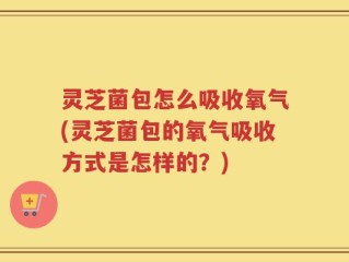 灵芝菌包怎么吸收氧气(灵芝菌包的氧气吸收方式是怎样的？)