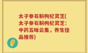 太子参石斛枸杞灵芝(太子参石斛枸杞灵芝：中药五味云集，养生佳品推荐)