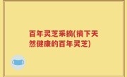百年灵芝采摘(摘下天然健康的百年灵芝)