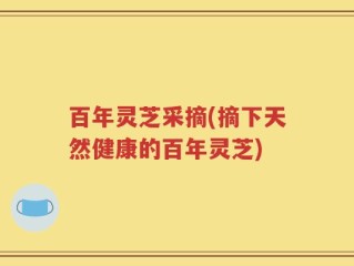 百年灵芝采摘(摘下天然健康的百年灵芝)