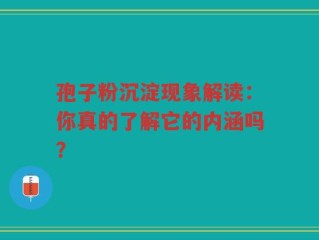 孢子粉沉淀现象解读：你真的了解它的内涵吗？