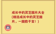 成长中的灵芝图片大全(精选成长中的灵芝图片，一图胜千言！)