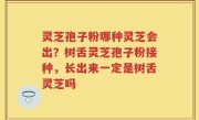 灵芝孢子粉哪种灵芝会出？树舌灵芝孢子粉接种，长出来一定是树舌灵芝吗
