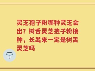灵芝孢子粉哪种灵芝会出？树舌灵芝孢子粉接种，长出来一定是树舌灵芝吗