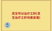灵芝可以治疗乙肝(灵芝治疗乙肝效果显著)
