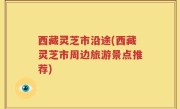 西藏灵芝市沿途(西藏灵芝市周边旅游景点推荐)