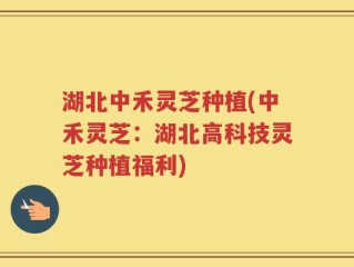 湖北中禾灵芝种植(中禾灵芝：湖北高科技灵芝种植福利)