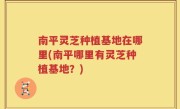南平灵芝种植基地在哪里(南平哪里有灵芝种植基地？)