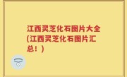 江西灵芝化石图片大全(江西灵芝化石图片汇总！)