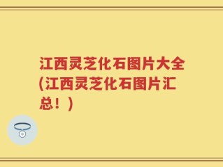 江西灵芝化石图片大全(江西灵芝化石图片汇总！)
