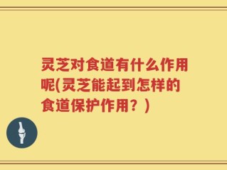 灵芝对食道有什么作用呢(灵芝能起到怎样的食道保护作用？)