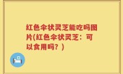 红色伞状灵芝能吃吗图片(红色伞状灵芝：可以食用吗？)