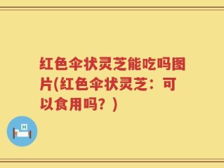 红色伞状灵芝能吃吗图片(红色伞状灵芝：可以食用吗？)