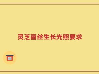 灵芝菌丝生长光照要求