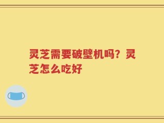 灵芝需要破壁机吗？灵芝怎么吃好