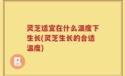 灵芝适宜在什么温度下生长(灵芝生长的合适温度)
