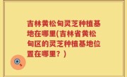 吉林黄松甸灵芝种植基地在哪里(吉林省黄松甸区的灵芝种植基地位置在哪里？)