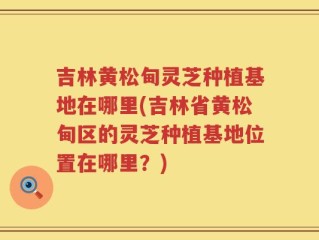 吉林黄松甸灵芝种植基地在哪里(吉林省黄松甸区的灵芝种植基地位置在哪里？)