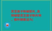 灵芝孢子粉破壁片_高效破壁灵芝孢子粉片剂，提升健康活力)