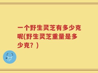 一个野生灵芝有多少克呢(野生灵芝重量是多少克？)