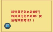 踩到灵芝怎么处理好(踩到灵芝怎么处理？快速有效的方法！)