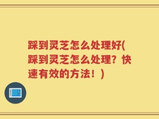 踩到灵芝怎么处理好(踩到灵芝怎么处理？快速有效的方法！)