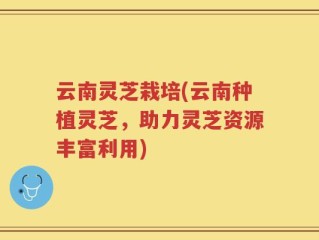 云南灵芝栽培(云南种植灵芝，助力灵芝资源丰富利用)