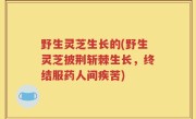 野生灵芝生长的(野生灵芝披荆斩棘生长，终结服药人间疾苦)