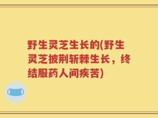 野生灵芝生长的(野生灵芝披荆斩棘生长，终结服药人间疾苦)