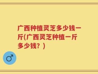 广西种植灵芝多少钱一斤(广西灵芝种植一斤多少钱？)