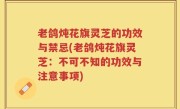 老鸽炖花旗灵芝的功效与禁忌(老鸽炖花旗灵芝：不可不知的功效与注意事项)