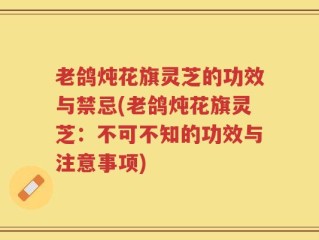 老鸽炖花旗灵芝的功效与禁忌(老鸽炖花旗灵芝：不可不知的功效与注意事项)