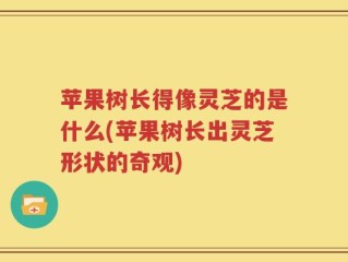 苹果树长得像灵芝的是什么(苹果树长出灵芝形状的奇观)