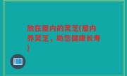 放在屋内的灵芝(屋内养灵芝,助您健康长寿)