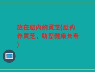 放在屋内的灵芝(屋内养灵芝，助您健康长寿)
