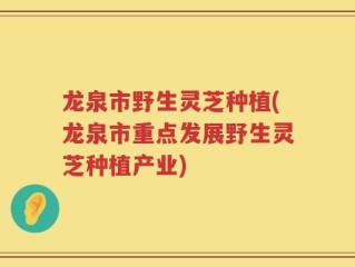 龙泉市野生灵芝种植(龙泉市重点发展野生灵芝种植产业)