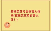 葛根灵芝片会伤害人体吗(葛根灵芝片有害人体？)