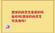西安的肉灵芝是真的吗能吃吗(西安的肉灵芝可食用吗？