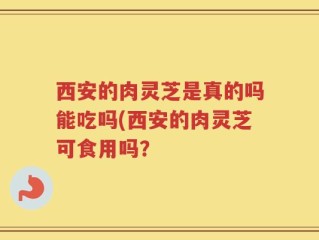 西安的肉灵芝是真的吗能吃吗(西安的肉灵芝可食用吗？