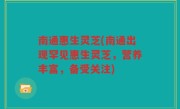 南通惠生灵芝(南通出现罕见惠生灵芝，营养丰富，备受关注)