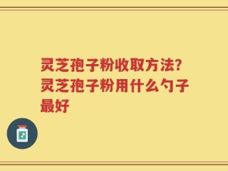 灵芝孢子粉收取方法？灵芝孢子粉用什么勺子最好