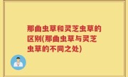那曲虫草和灵芝虫草的区别(那曲虫草与灵芝虫草的不同之处)
