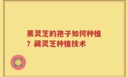 黑灵芝的孢子如何种植？藏灵芝种植技术